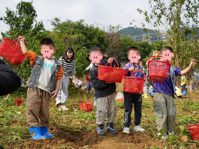 鲜龙井亲子研学，挖薯、烤薯、套鸭子，欢乐满满！